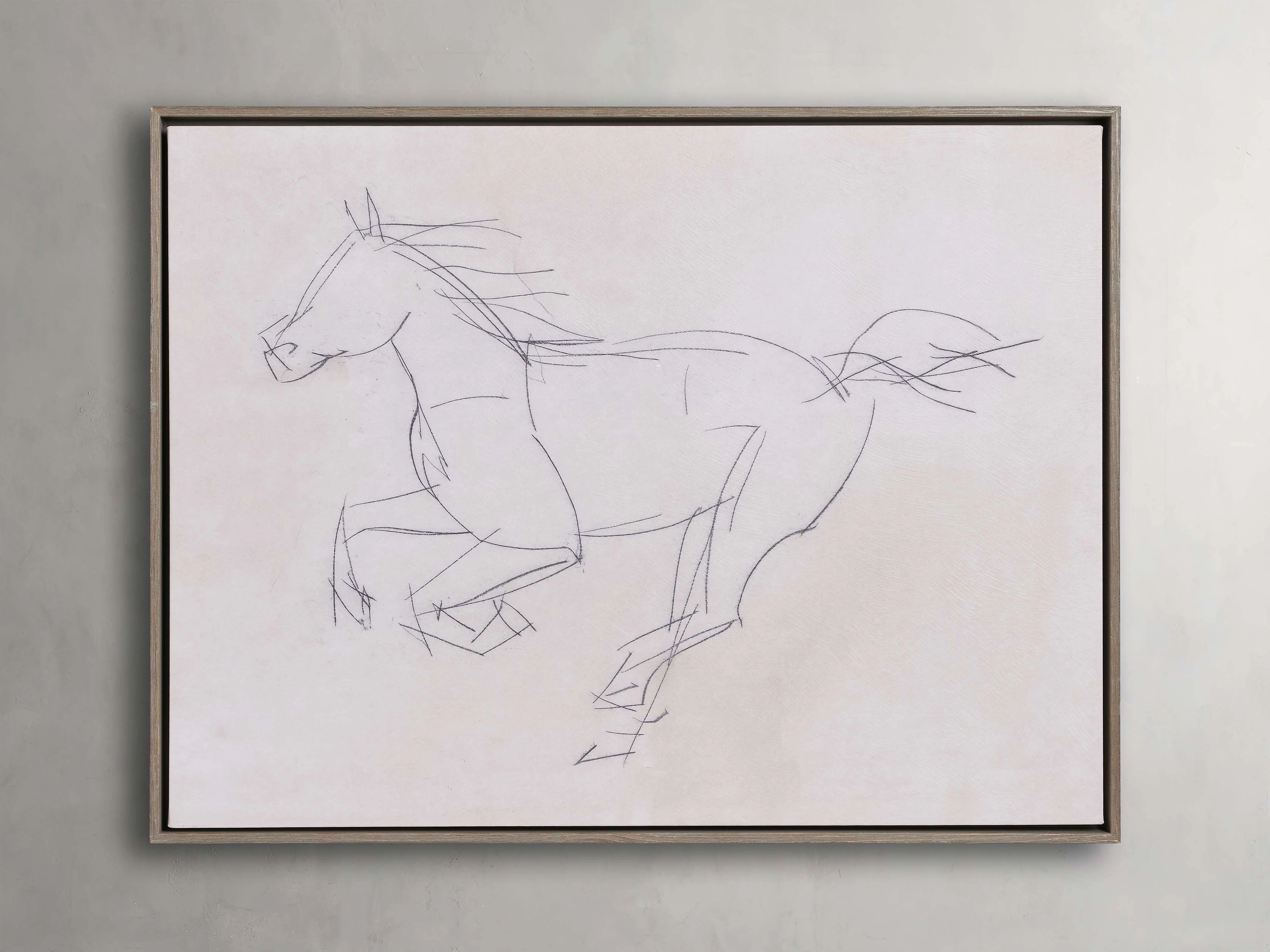 Equine Study Framed Print