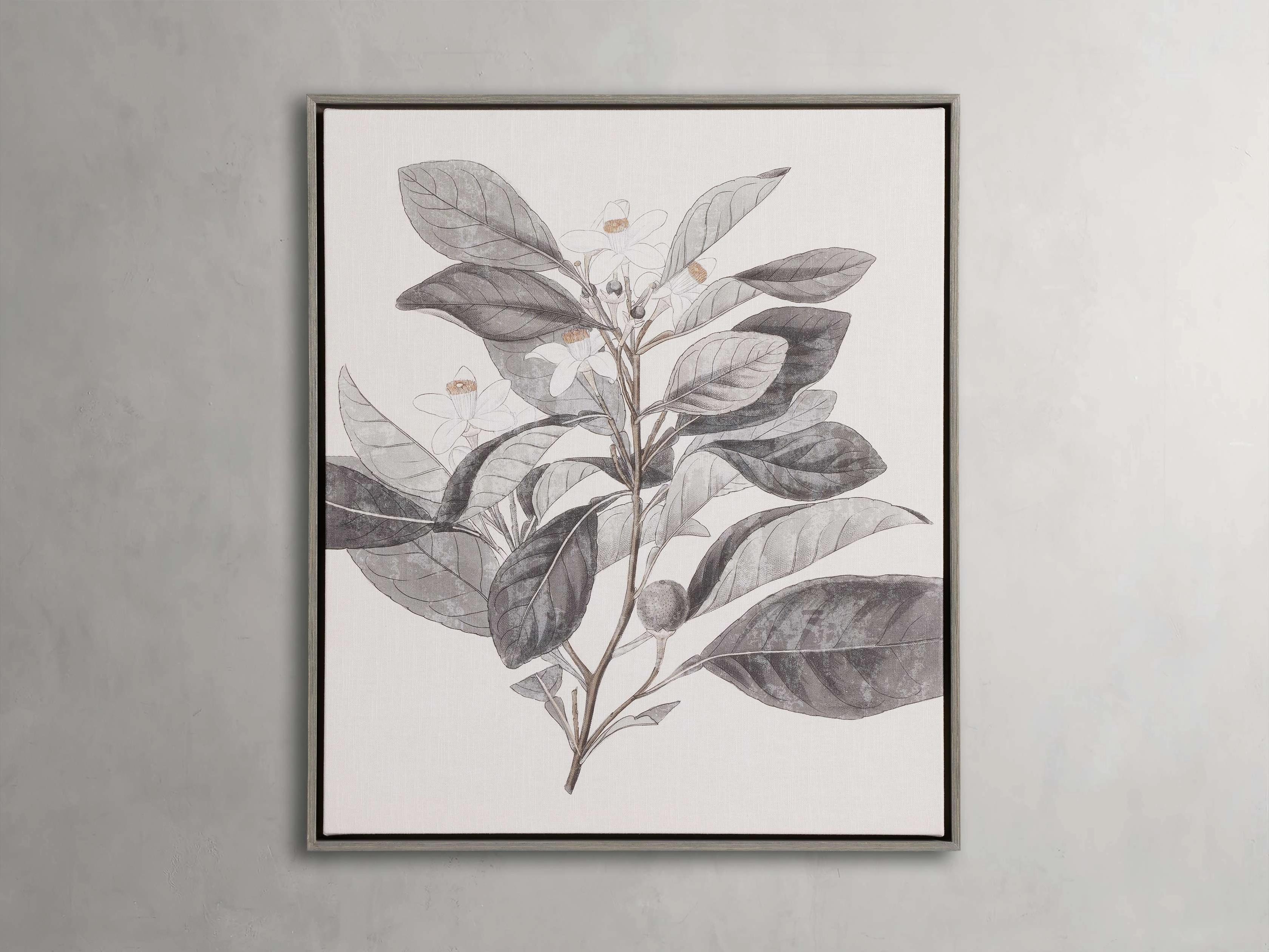 Falling in Leaves III Framed Print