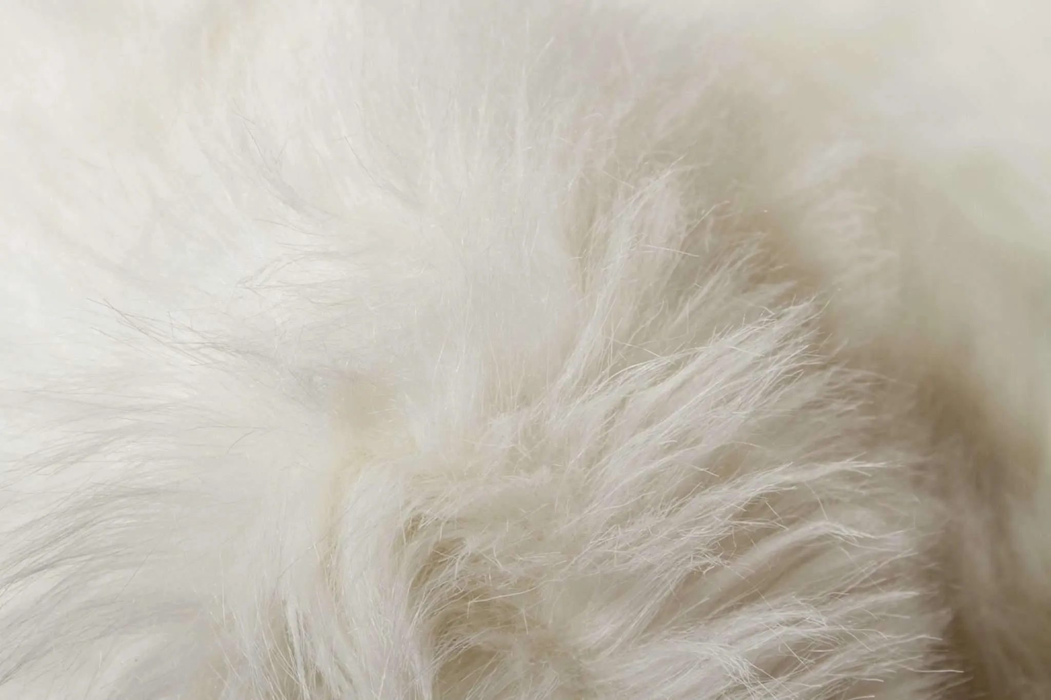 Faux Fur Off White Area Rug 5' x 8'