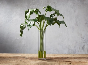 Faux Calla Leaf in Large Vase