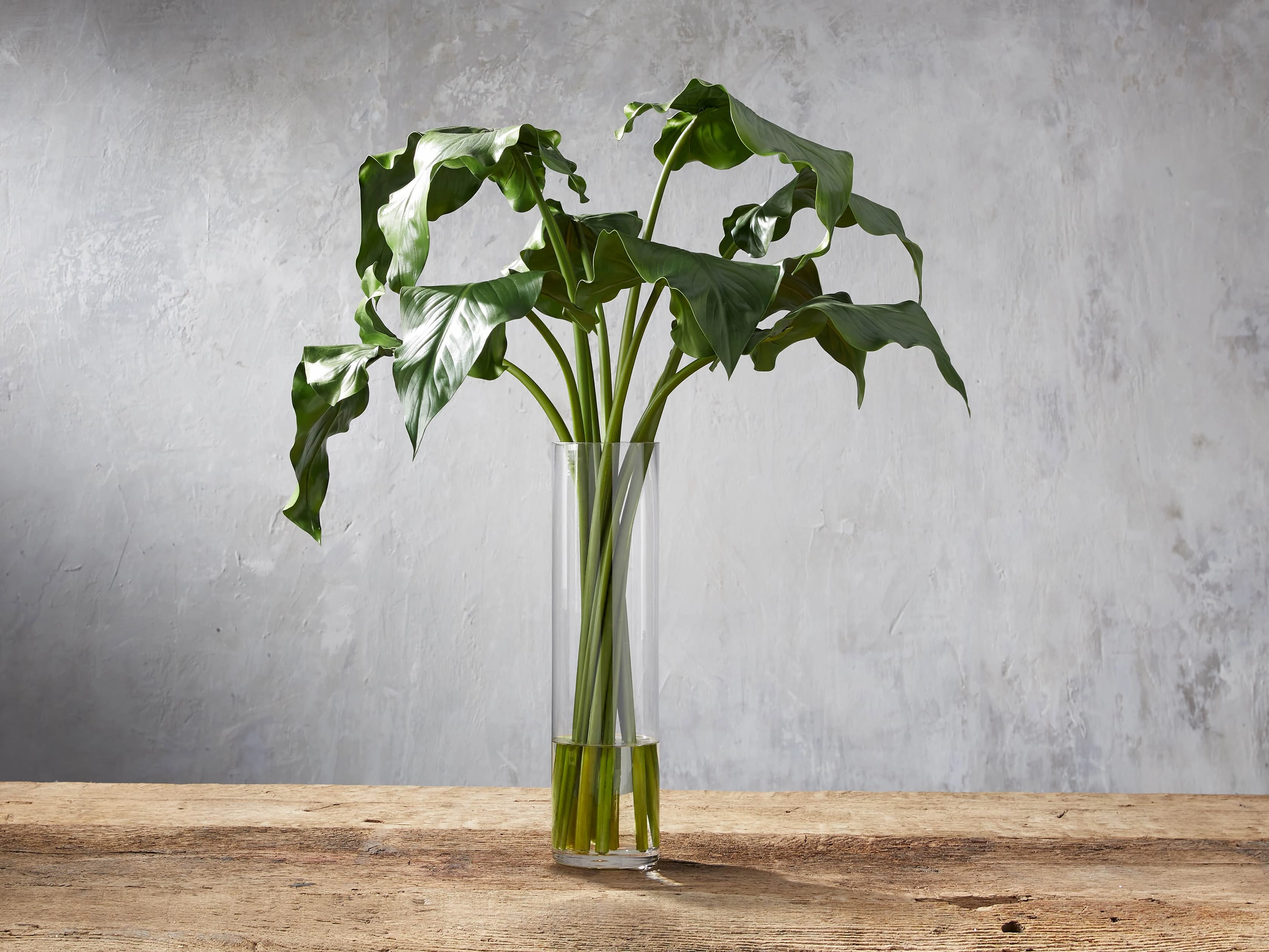 Faux Calla Leaf in Large Vase