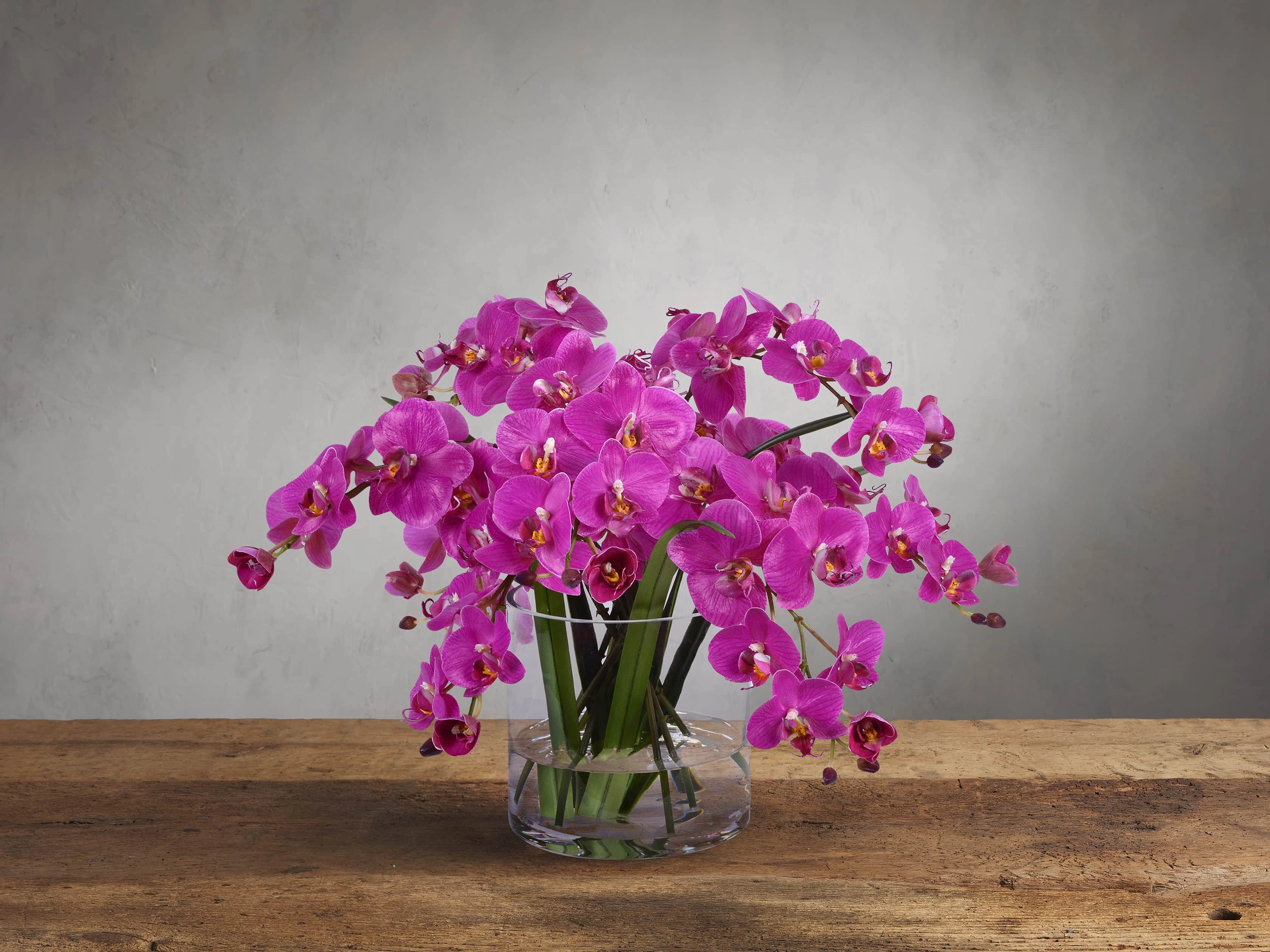 Faux Fuchsia Phalaenopsis in Glass