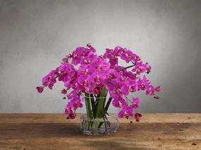 Faux Fuchsia Phalaenopsis in Glass