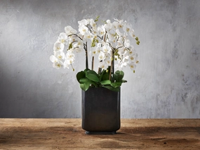 Faux Phalaenopsis in Tall Bronze Vase