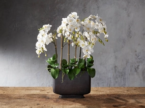 Faux Phalaenopsis in Wide Bronze Vase