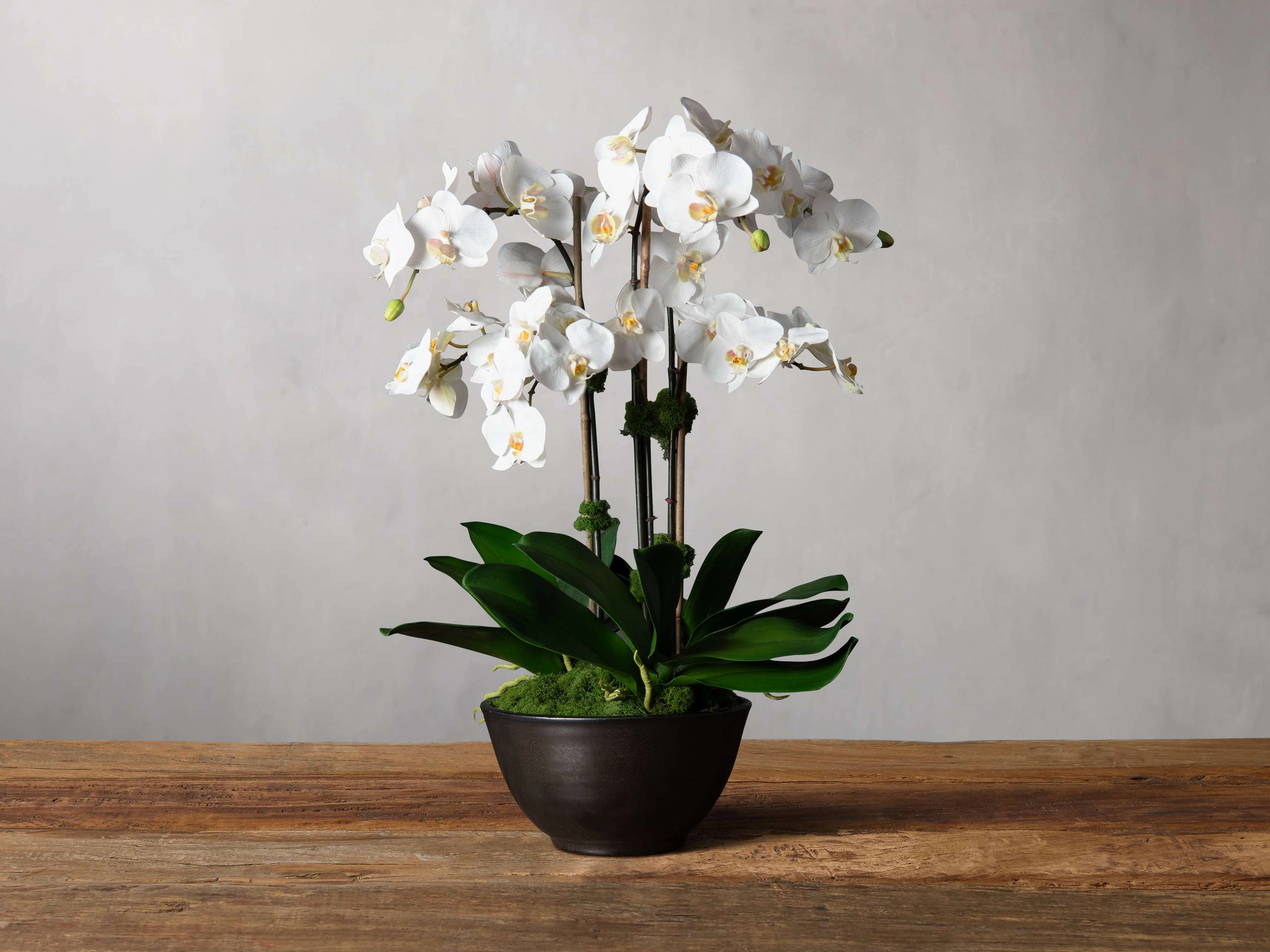 Faux White Orchids in Bronze Terracotta Bowl