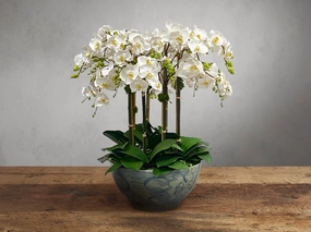 Faux White Orchids in Painted Bowl