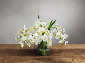 Faux White Phalaenopsis in Glass