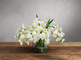 Faux White Phalaenopsis in Glass