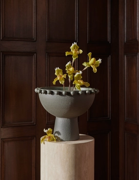 Fayette Bowl by Aimee Song