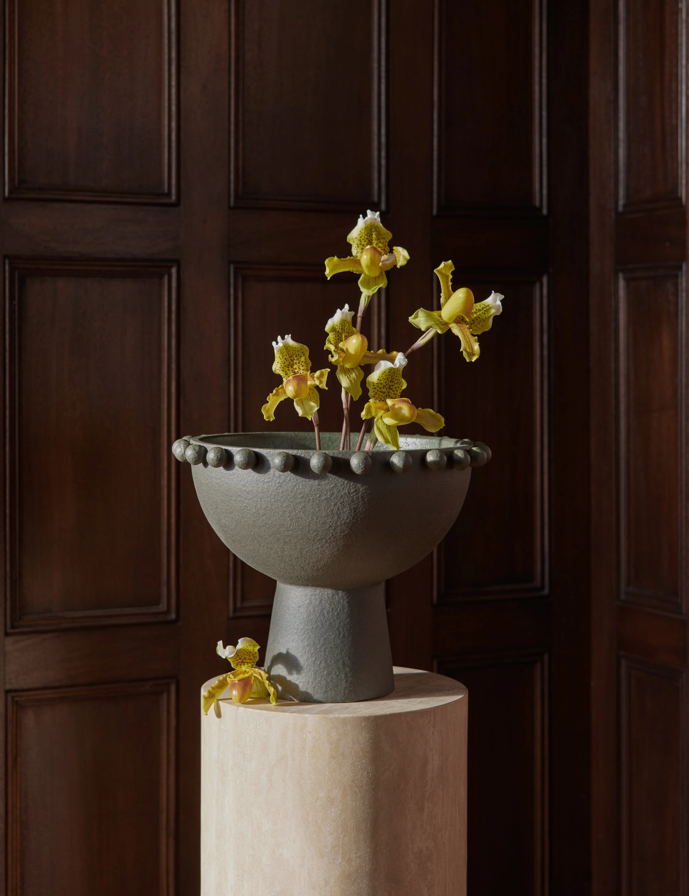 Fayette Bowl by Aimee Song