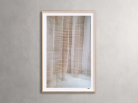 Forest Framed Print
