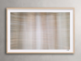 Forest Framed Print I