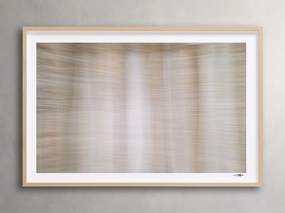 Forest Framed Print I