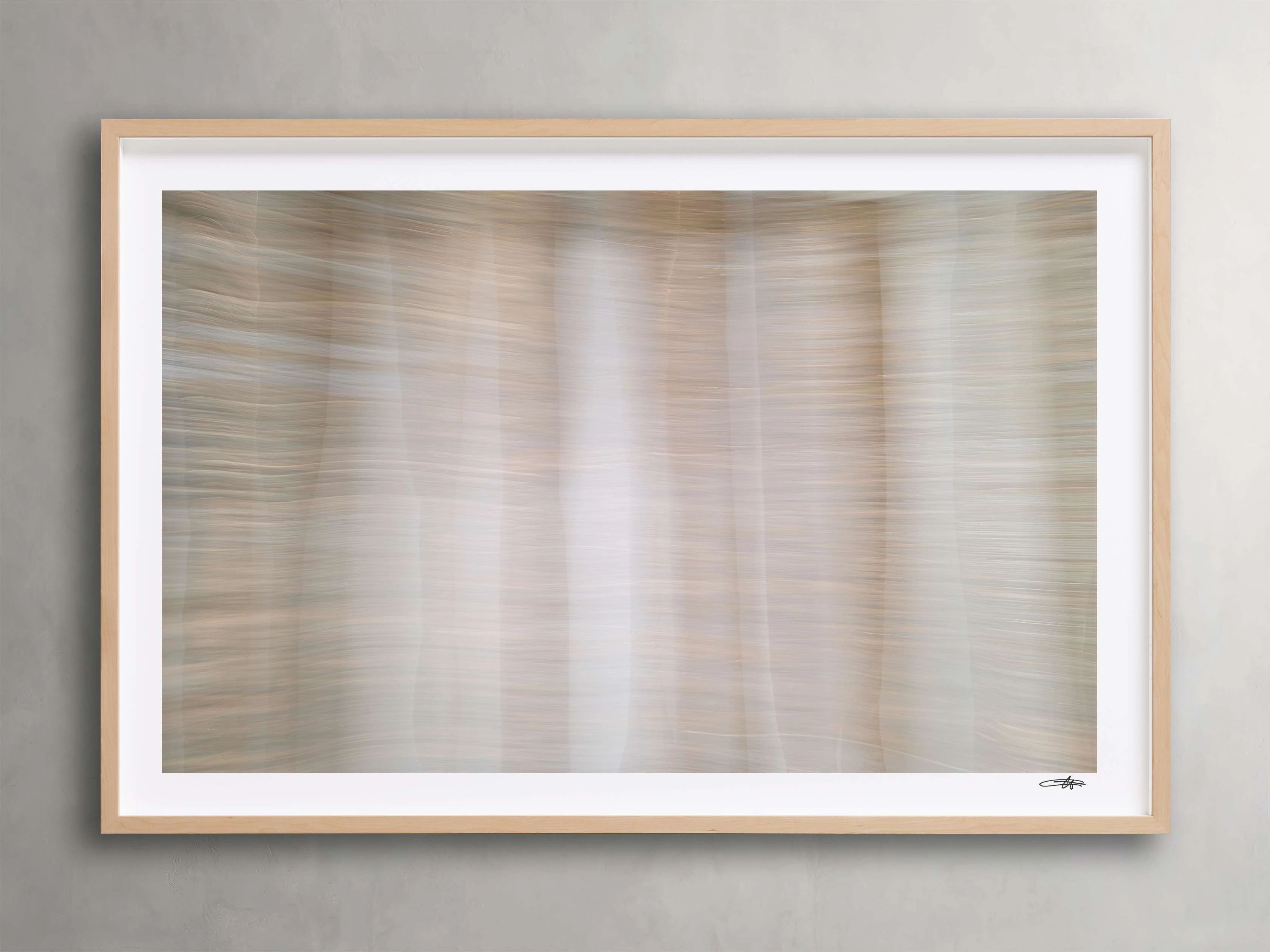 Forest Framed Print I