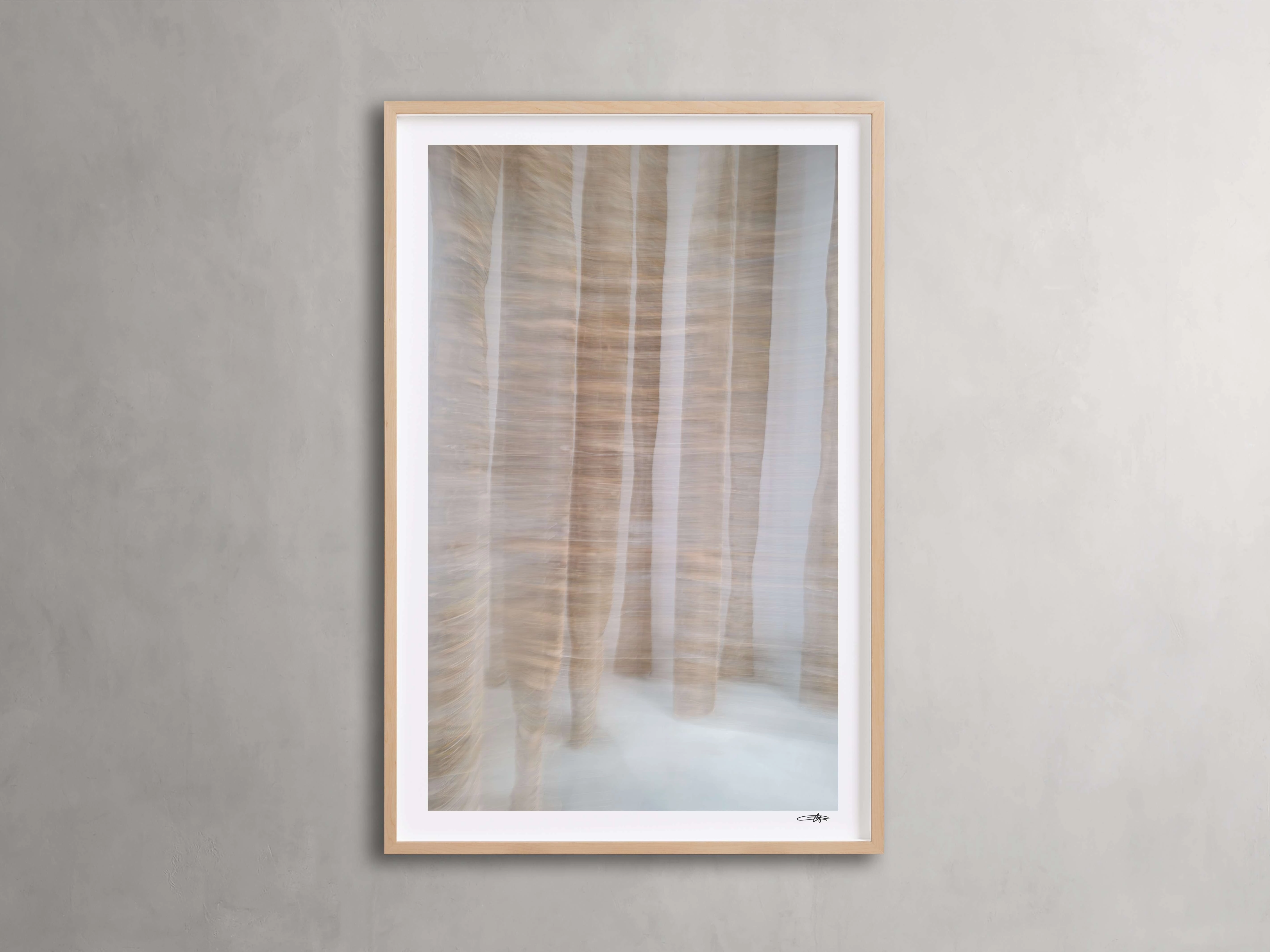 Forest Framed Print