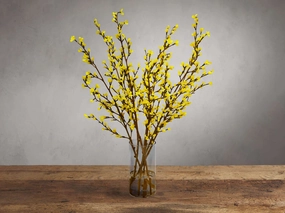 Forsythia in Glass