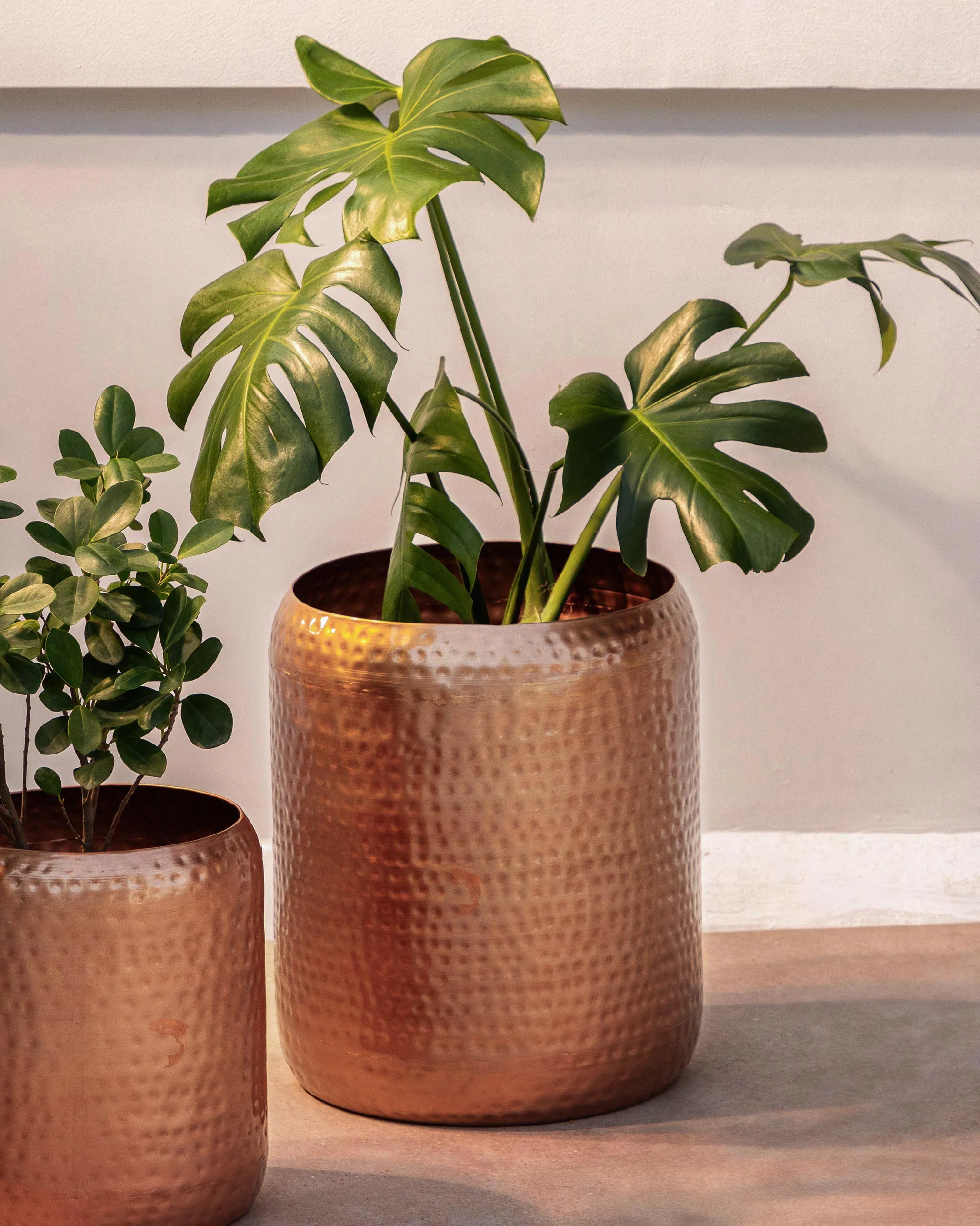 Gleam planter - large dinnerware set, ceramic plates