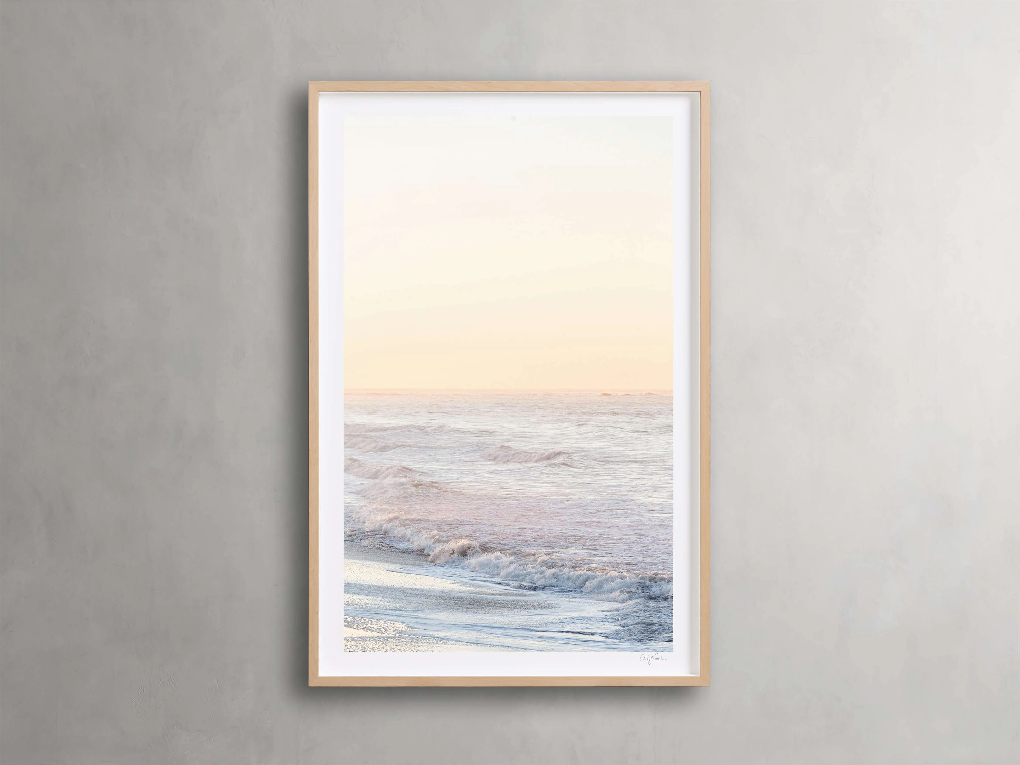 Golden Coast Framed Print III