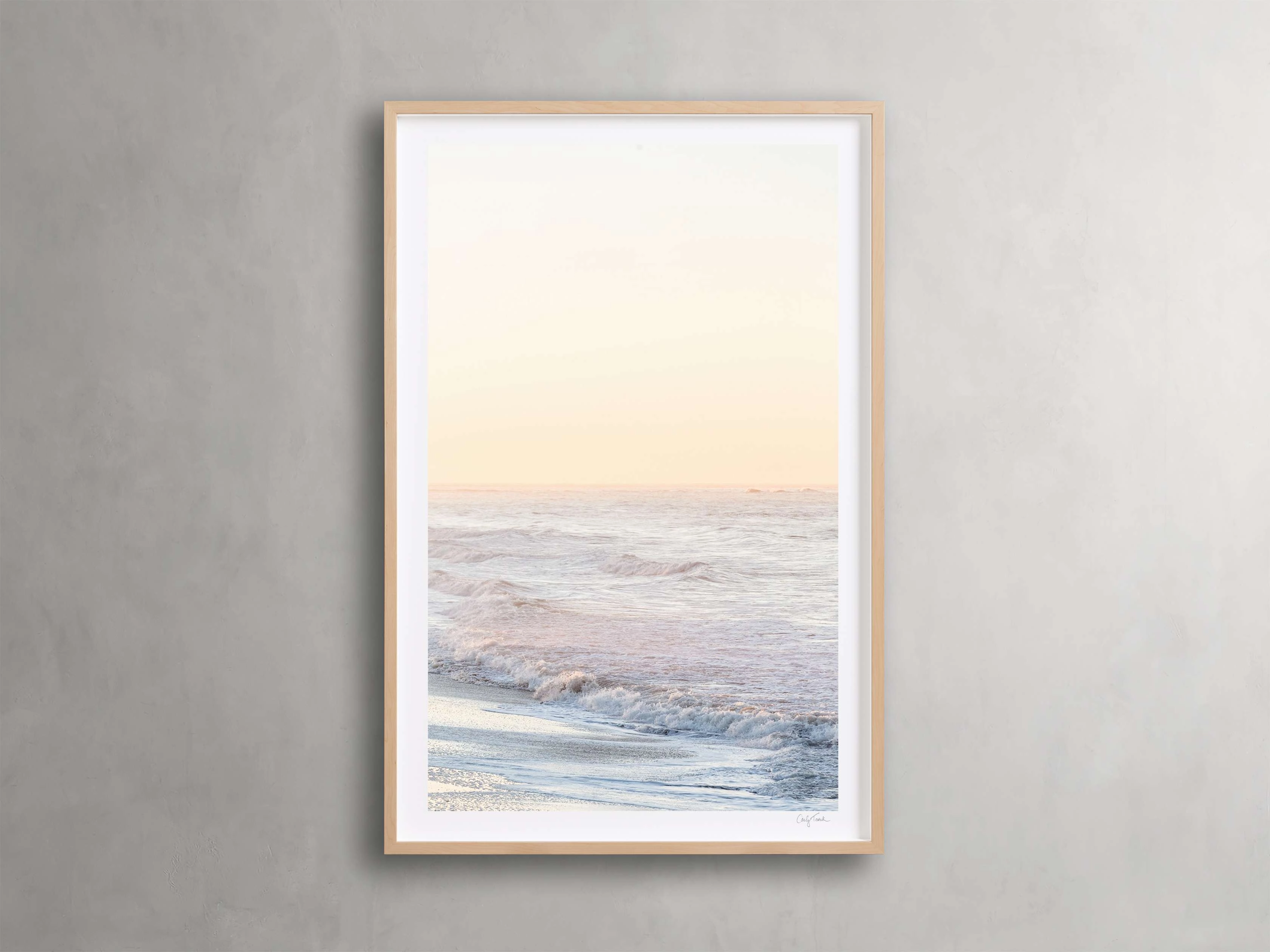 Golden Coast Framed Print III