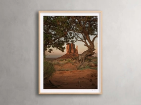 Golden Peaks II Framed Print