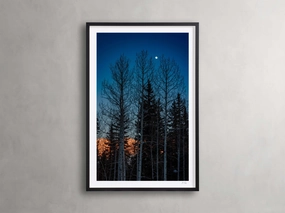 Golden Touch III Framed Print