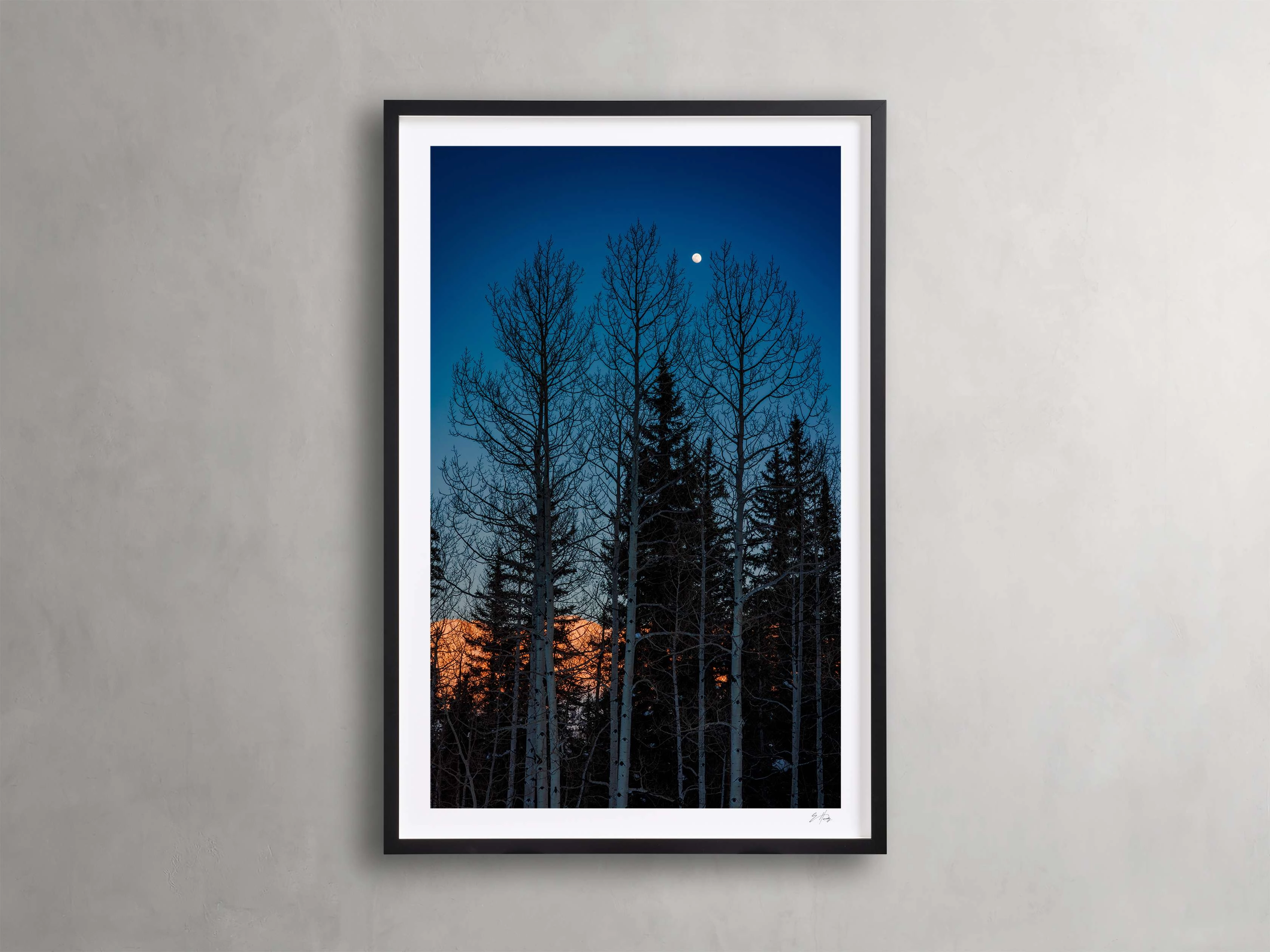 Golden Touch III Framed Print