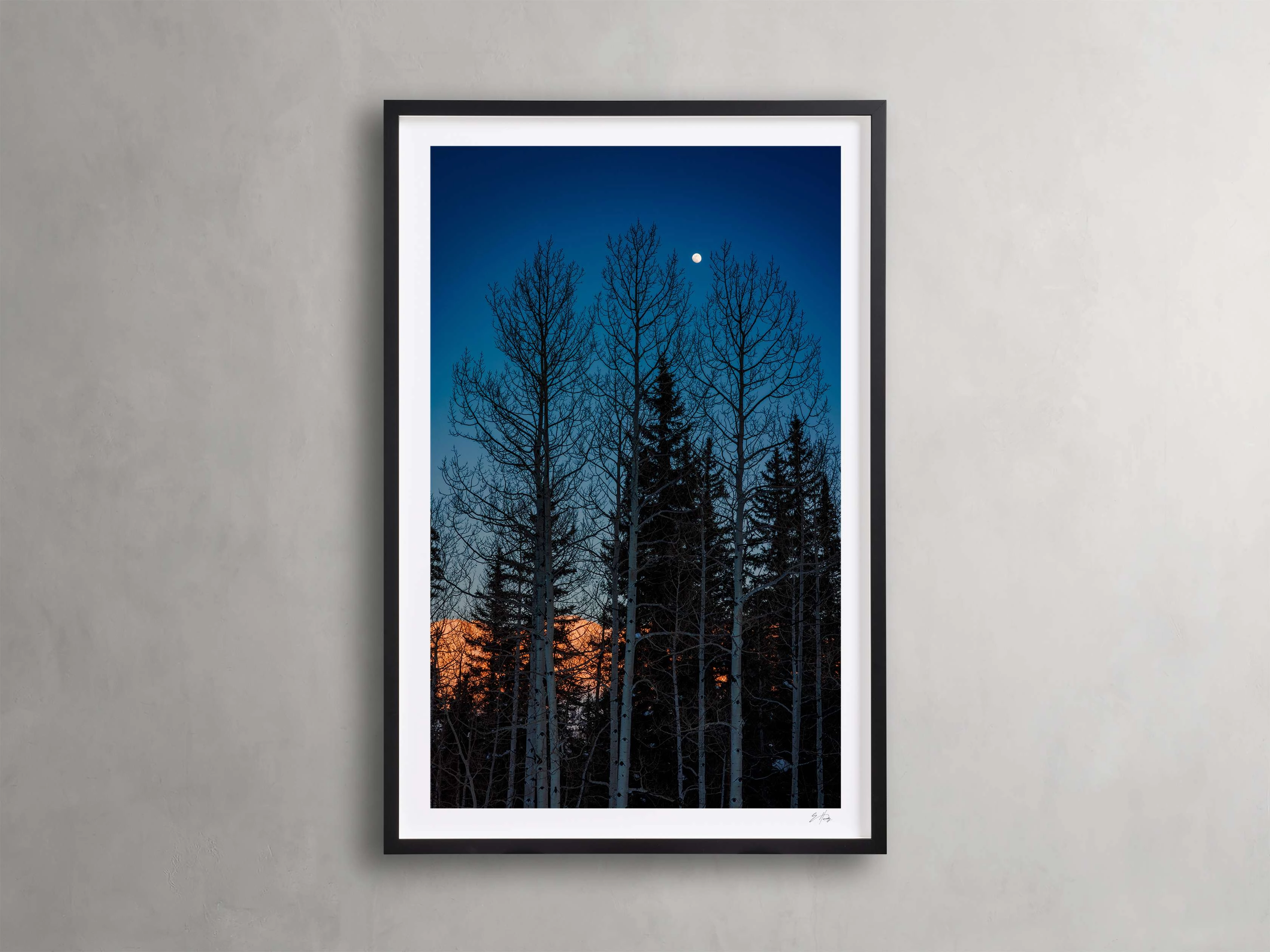 Golden Touch III Framed Print