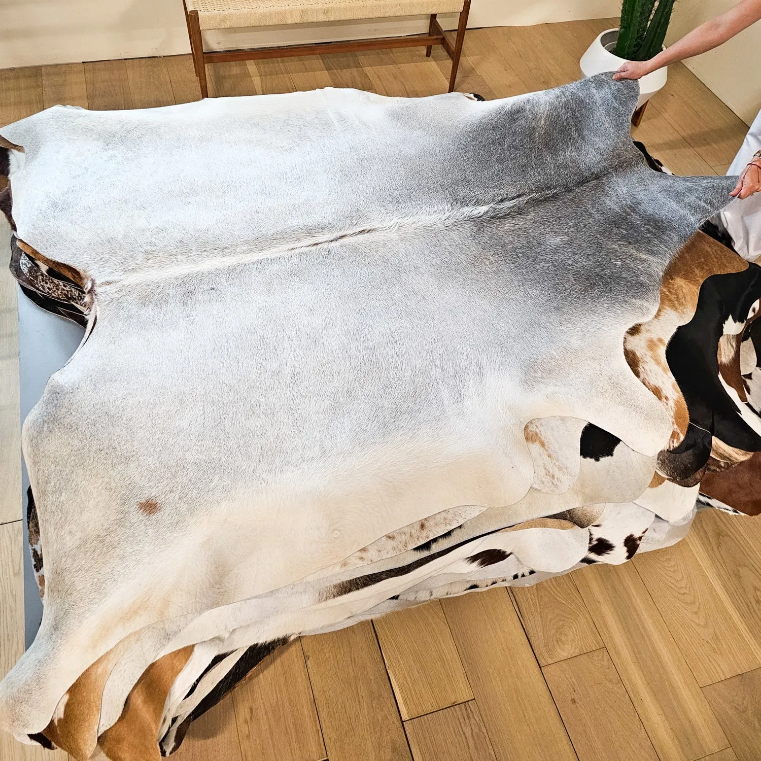 Gradient Grey Cowhides