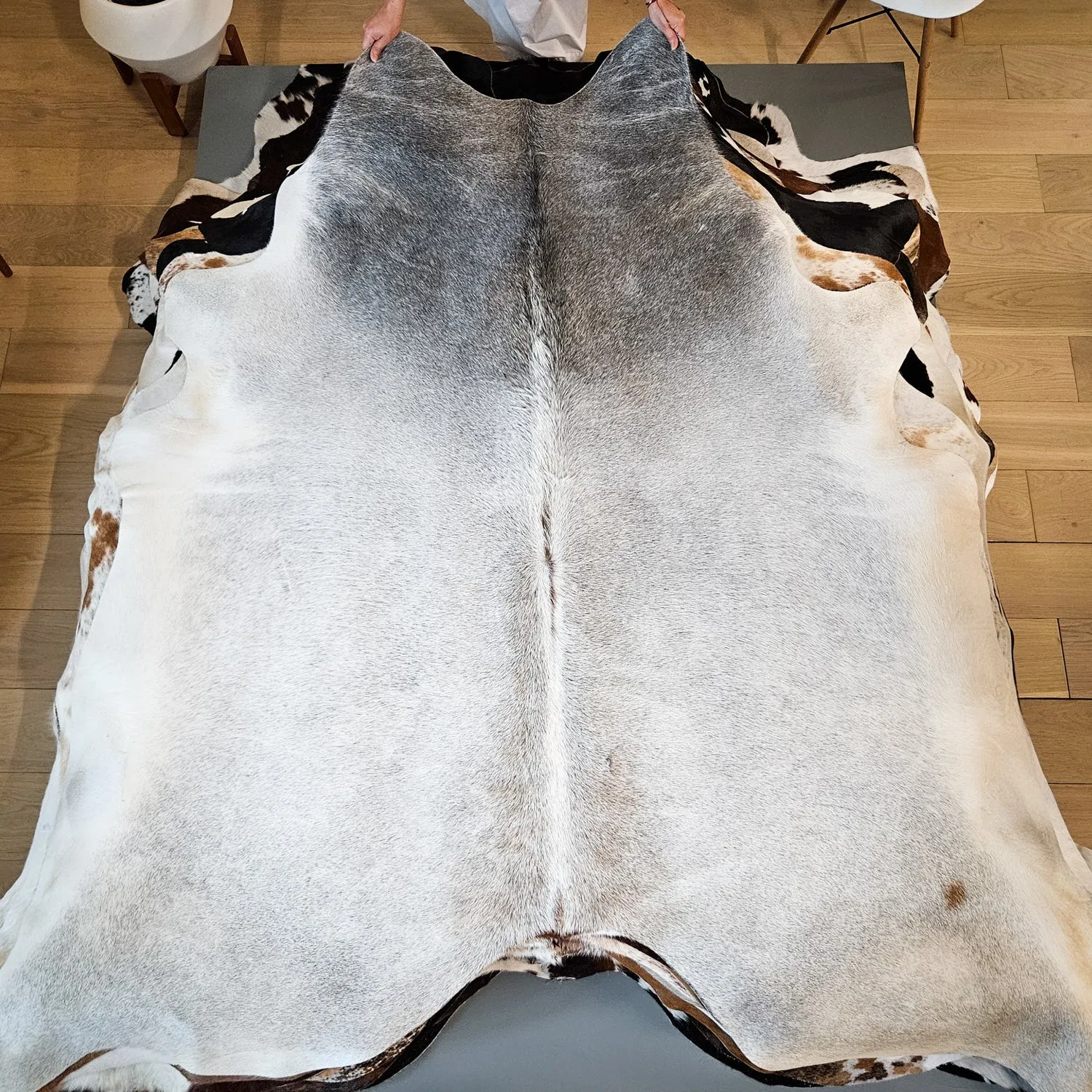 Gradient Grey Cowhides