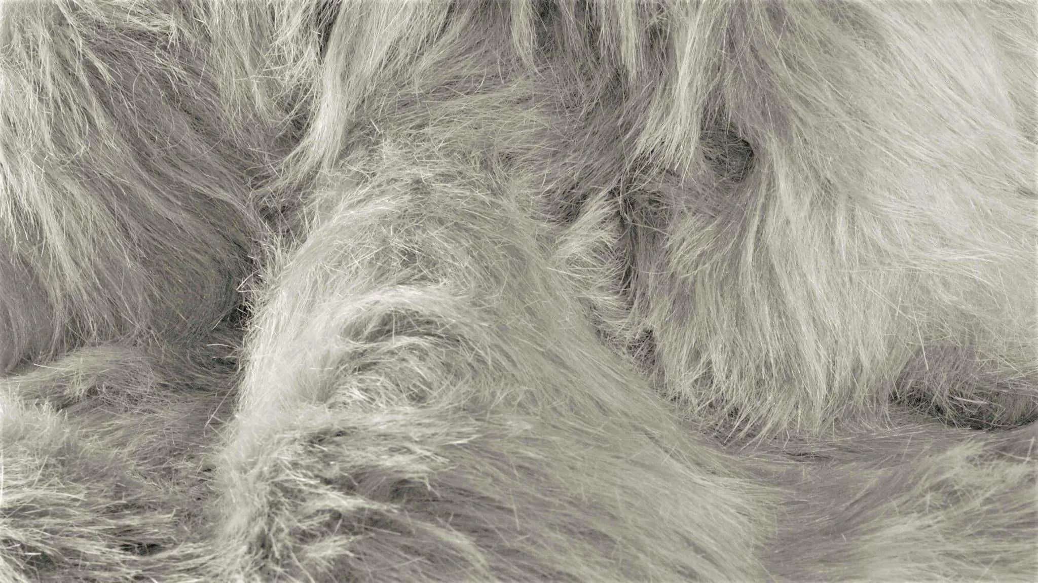 Gray Sheepskin Area Rug