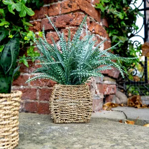 Green Artificial Fern Plant in a Beige Seagrass Woven Basket kitchen essentials, utensils set