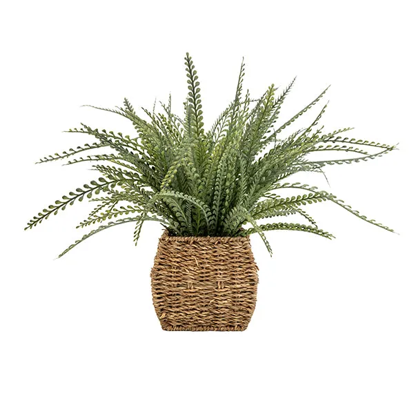 Green Artificial Fern Plant in a Beige Seagrass Woven Basket