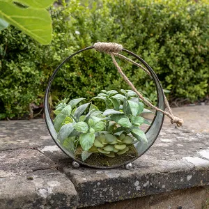 Green Artificial Succulent Plant in a Black Round Iron Pot kitchen essentials, utensils set