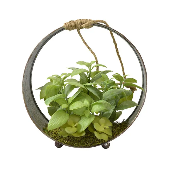 Green Artificial Succulent Plant in a Black Round Iron Pot