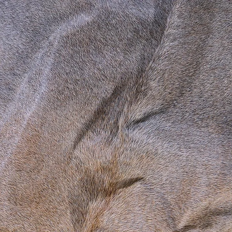 Gris Tan & Grey Mix Cowhide Rug