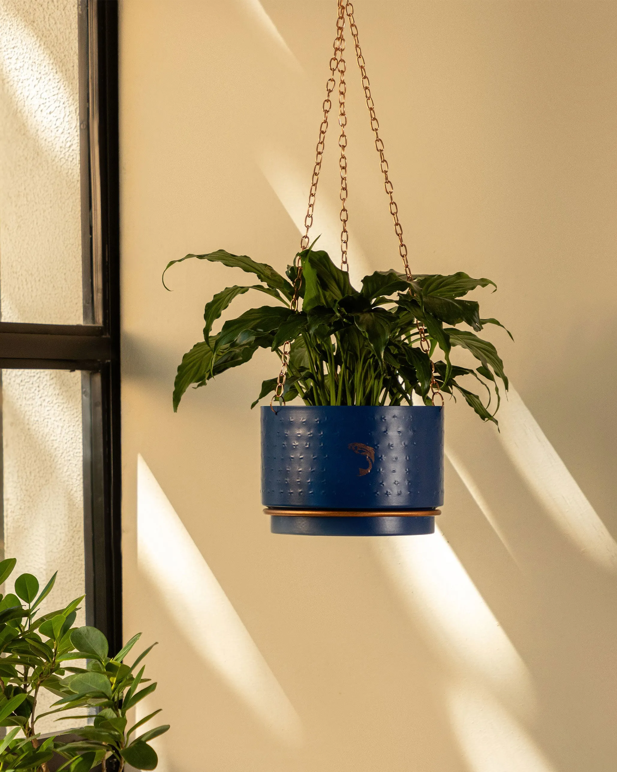 Hanging Midnight Planter dinnerware set, ceramic plates