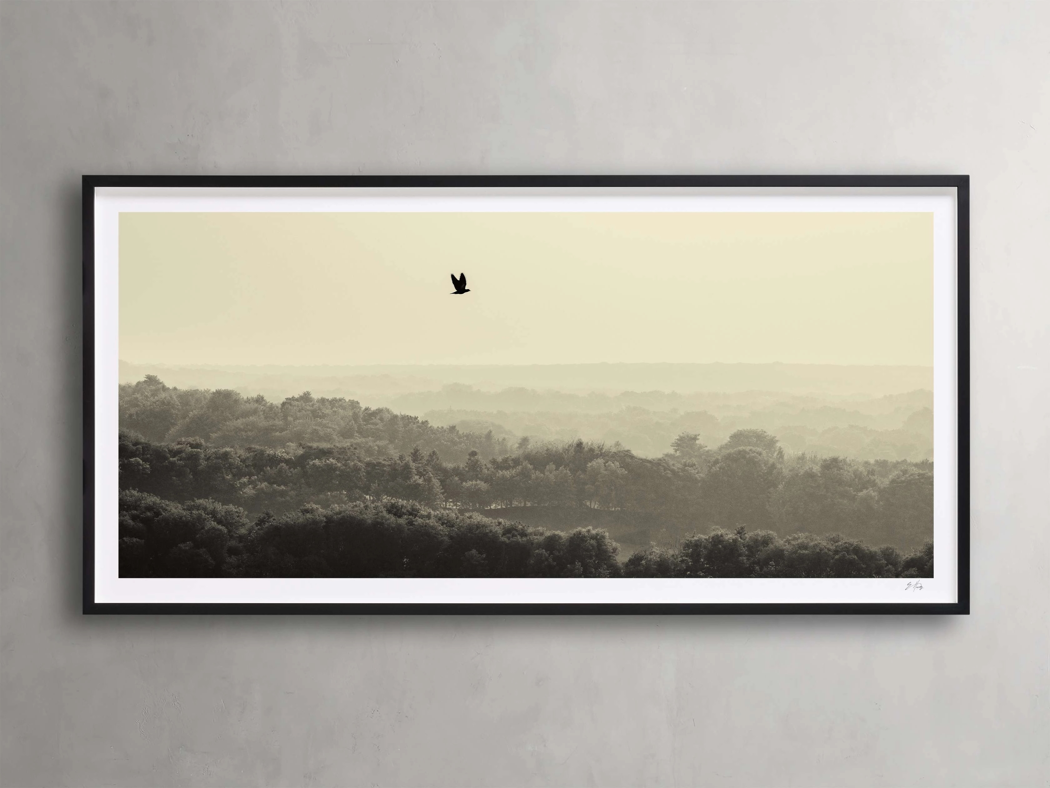 India Framed Print