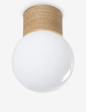 Jahan Flush Mount Light
