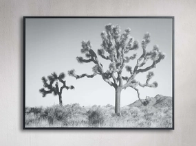 Joshua Tree Duo Framed Print