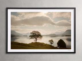 Landscape I Framed Print