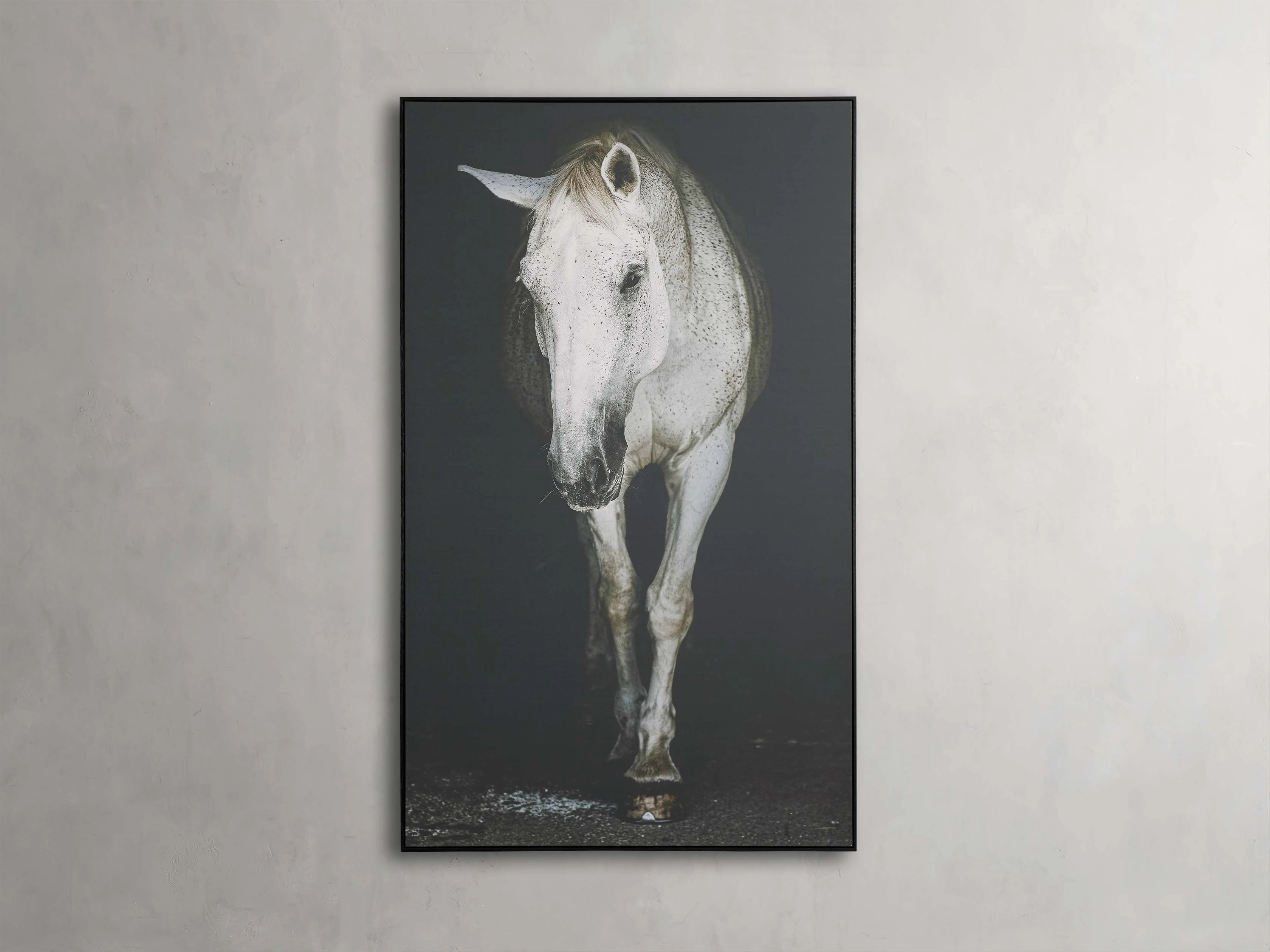 Lara Framed Print