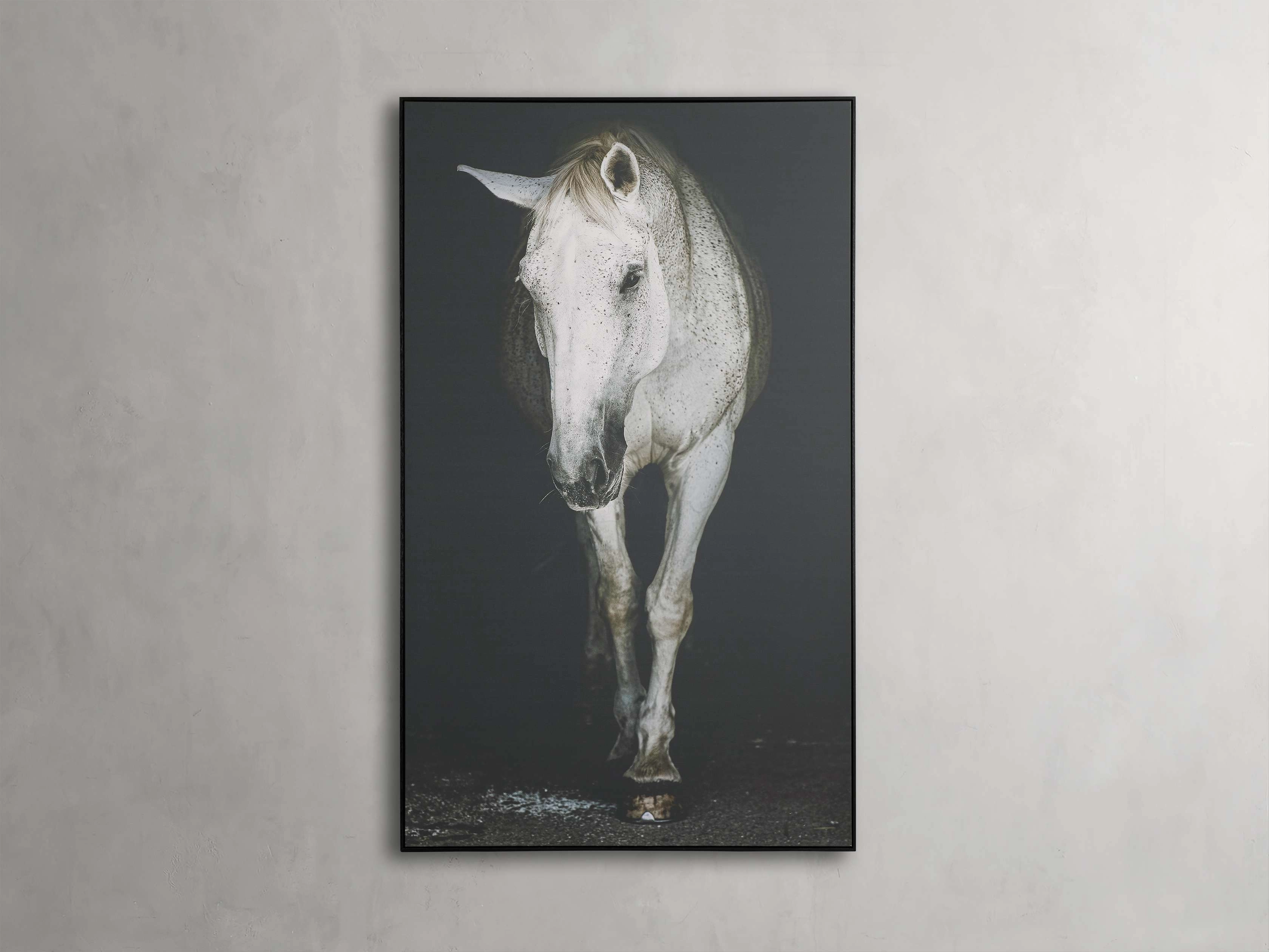 Lara Framed Print