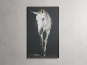 Lara Framed Print