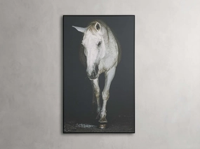 Lara Framed Print