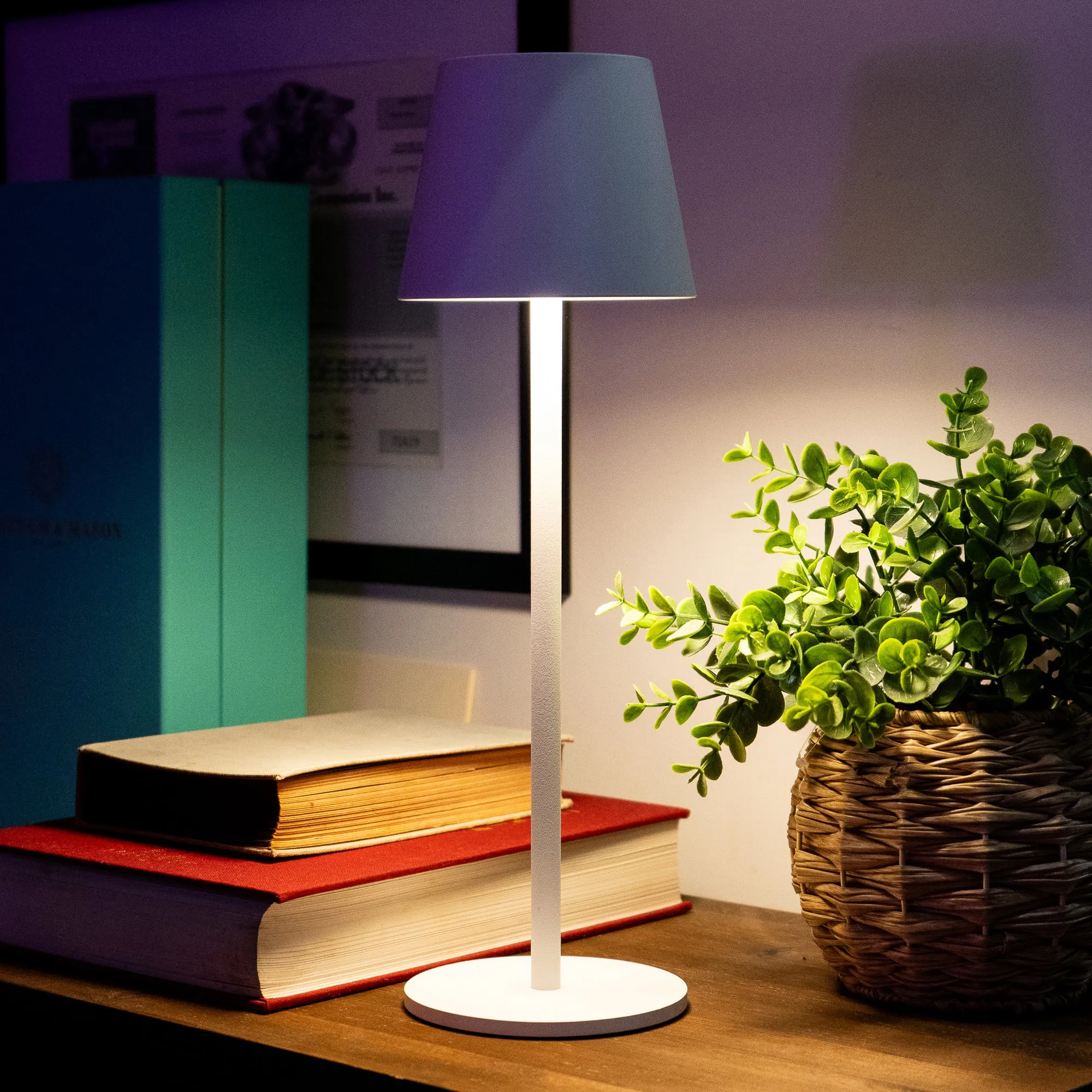 LED touch lamp, plastic lamp white