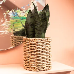 Lifelike Evergreen Faux Aloe Vera Plant in Stylish Seagrass Basket kitchen essentials, utensils set