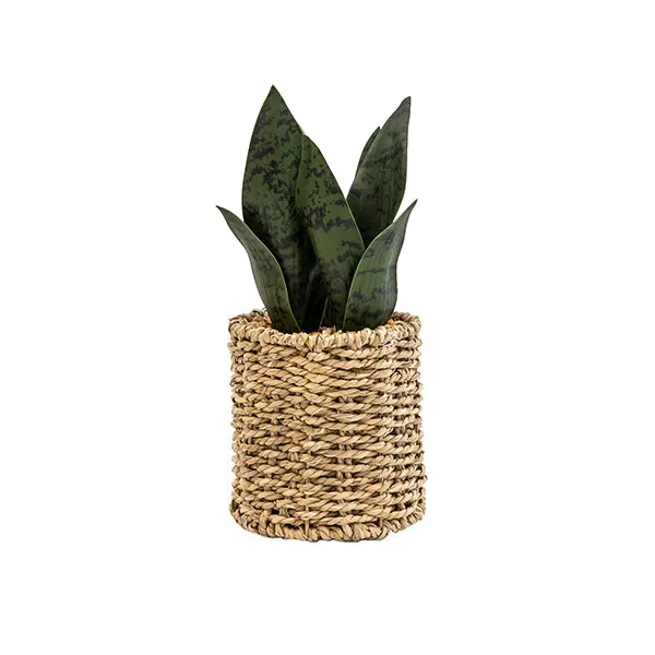 Lifelike Evergreen Faux Aloe Vera Plant in Stylish Seagrass Basket