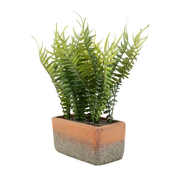 Lifelike Green Fern in Modern Cement Pot