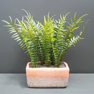Lifelike Green Fern in Modern Cement Pot kitchen essentials, utensils set